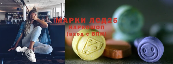 spice Осинники