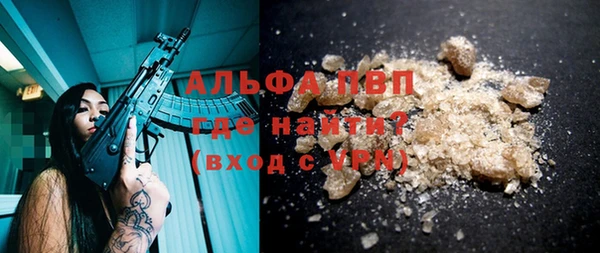 spice Осинники