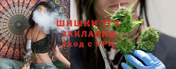 spice Осинники