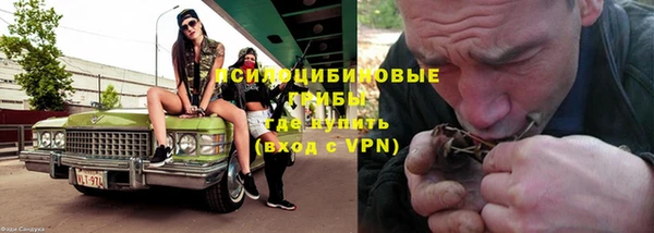 a pvp Алзамай