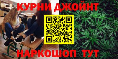 индика Гусиноозёрск
