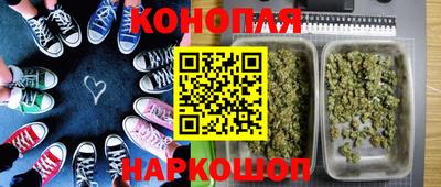 индика Гусиноозёрск
