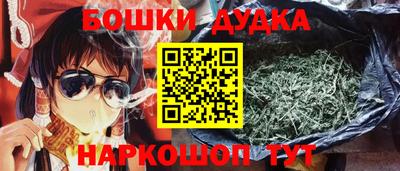индика Гусиноозёрск