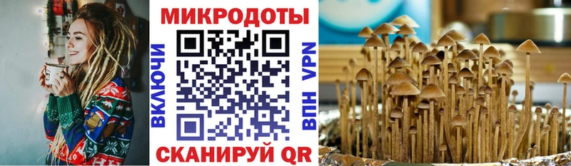 Псилоцибиновые грибы мицелий  Татарск 